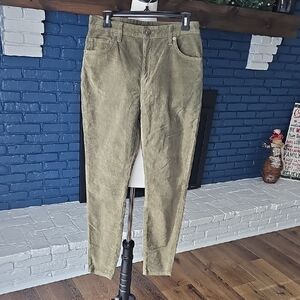 NWT Women's Patagonia Basin Green Everyday Corduroy Pant Size 29